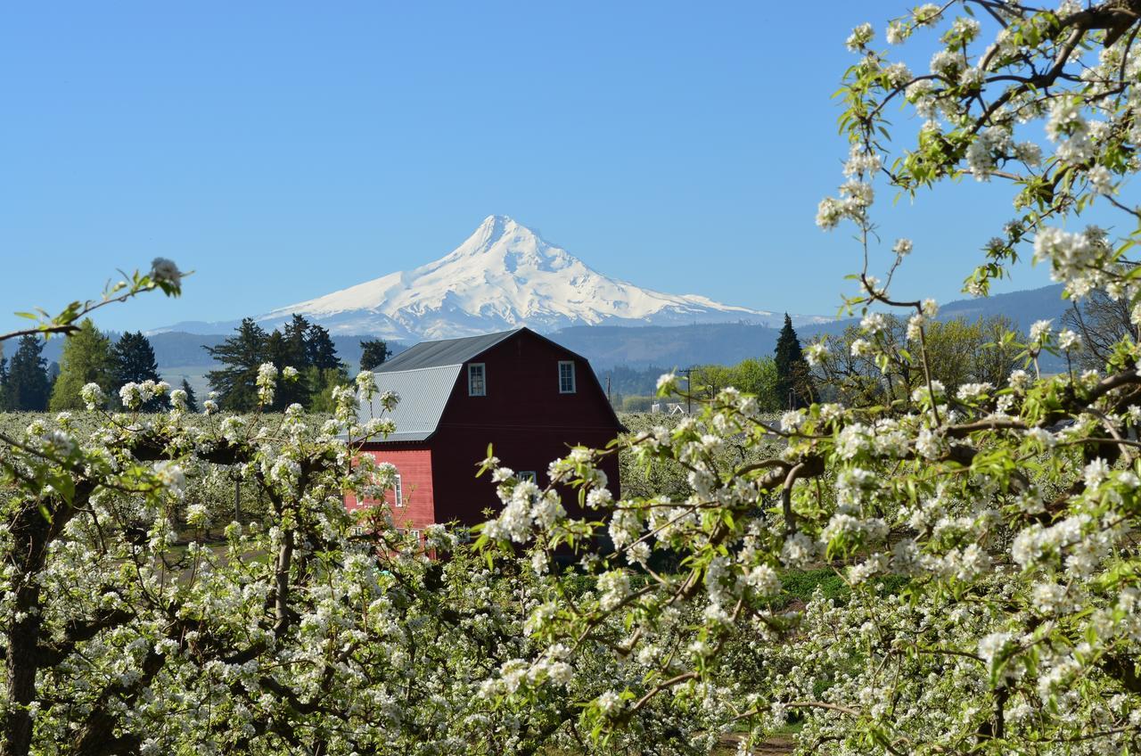 Old Parkdale Inn Bed And Breakfast Hood River Dış mekan fotoğraf