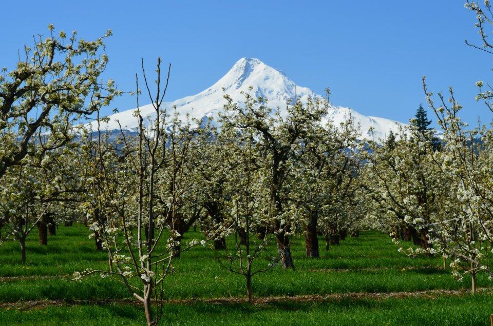 Old Parkdale Inn Bed And Breakfast Hood River Dış mekan fotoğraf